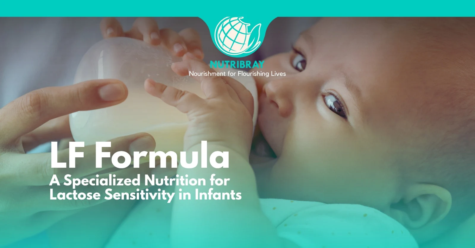 LF Formula: A Specialized Nutrition for Lactose Sensitivity in Infants