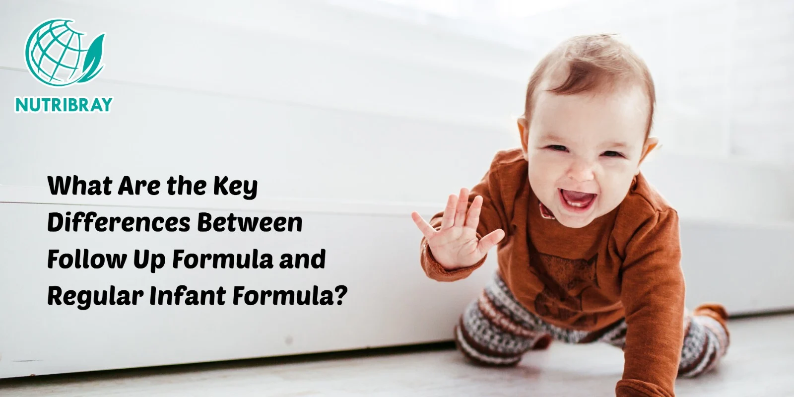 What Are the Key Differences Between Follow Up Formula and Regular Infant Formula?
