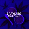 Braysure Plant Protein