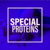 SPECIAL PROTEIN