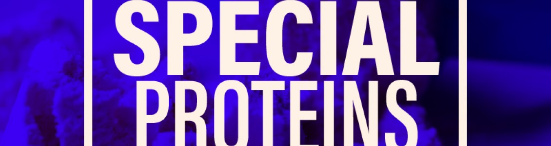 SPECIAL PROTEIN