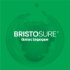 Bristosure Galactagogue